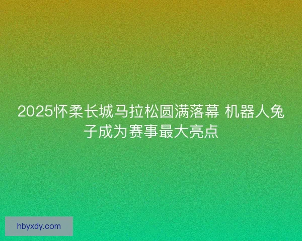 2025怀柔长城马拉松圆满落幕 机器人兔子成为赛事最大亮点